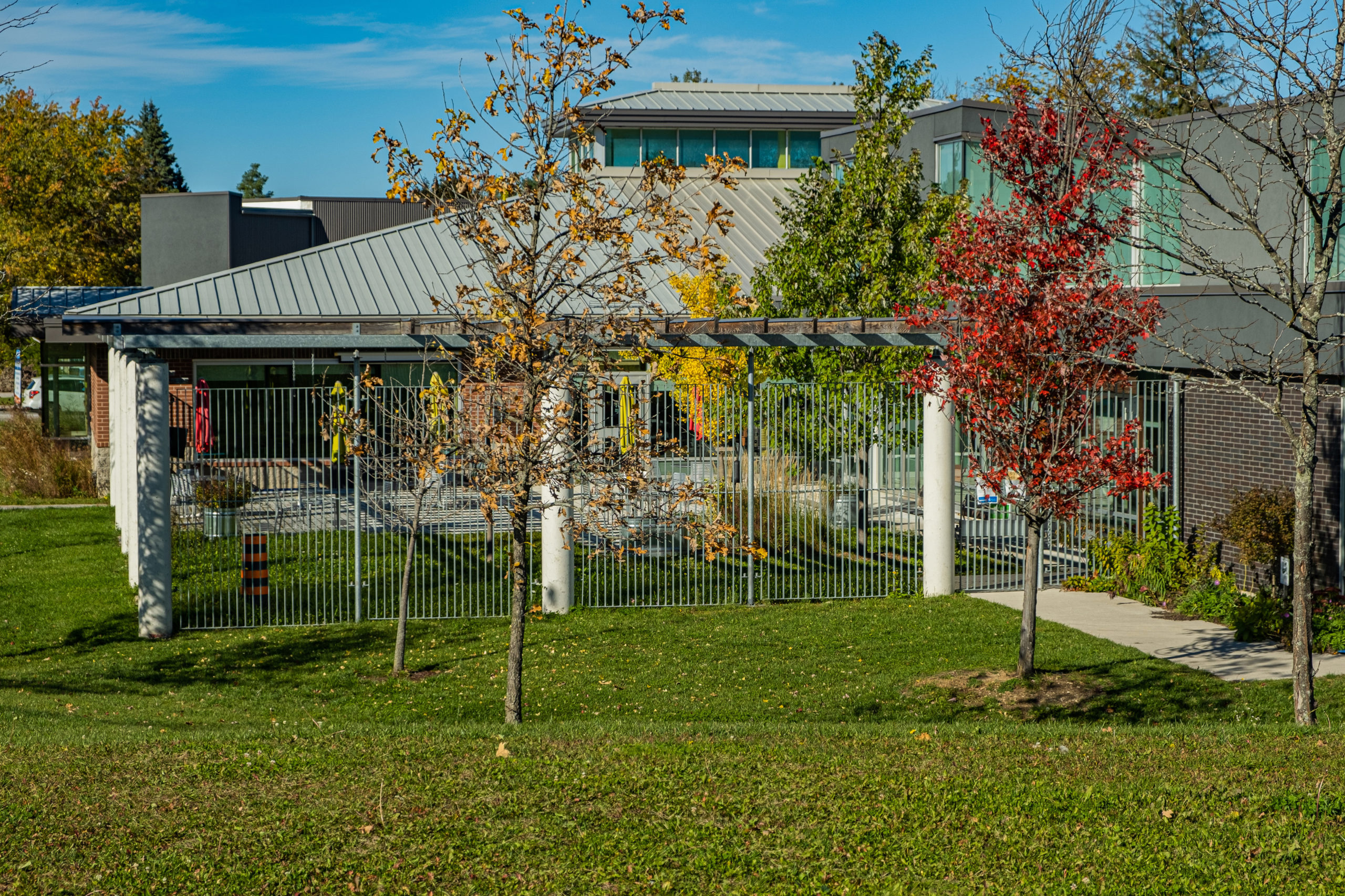 Alcona Learning Lab, Exterior Courtyard, Gordon + Gordon Group, Owner Representative